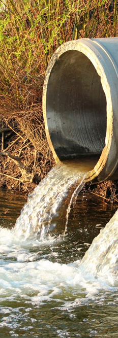 ABUIABAEGAAgyJKMtgYo1IKDPTDoATiaBQ